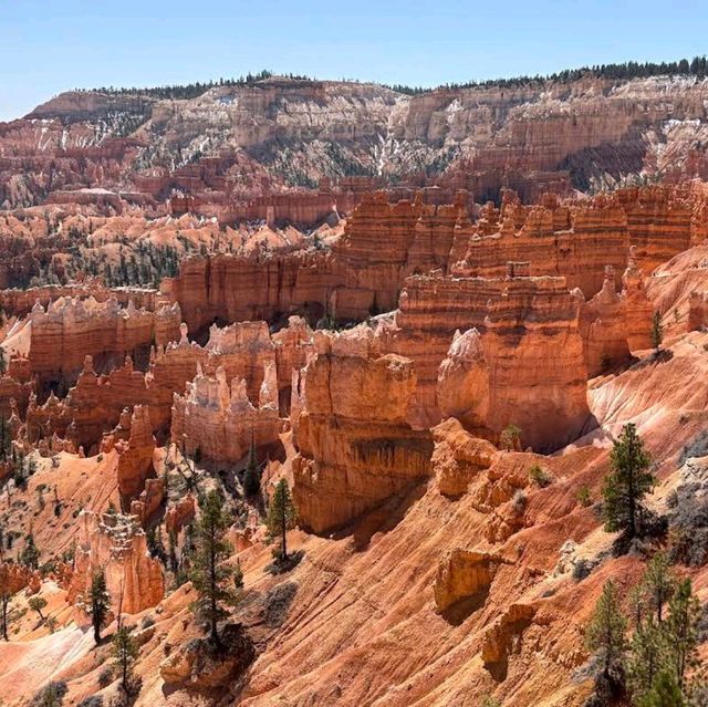 Hoodoos at Sunrise Point – Bryce Canyon NP, UT