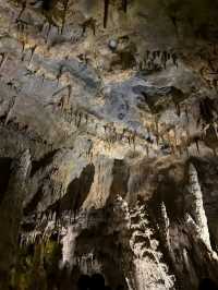 Rainforest Wild Asia – A Hidden Gem for Nature Enthusiasts