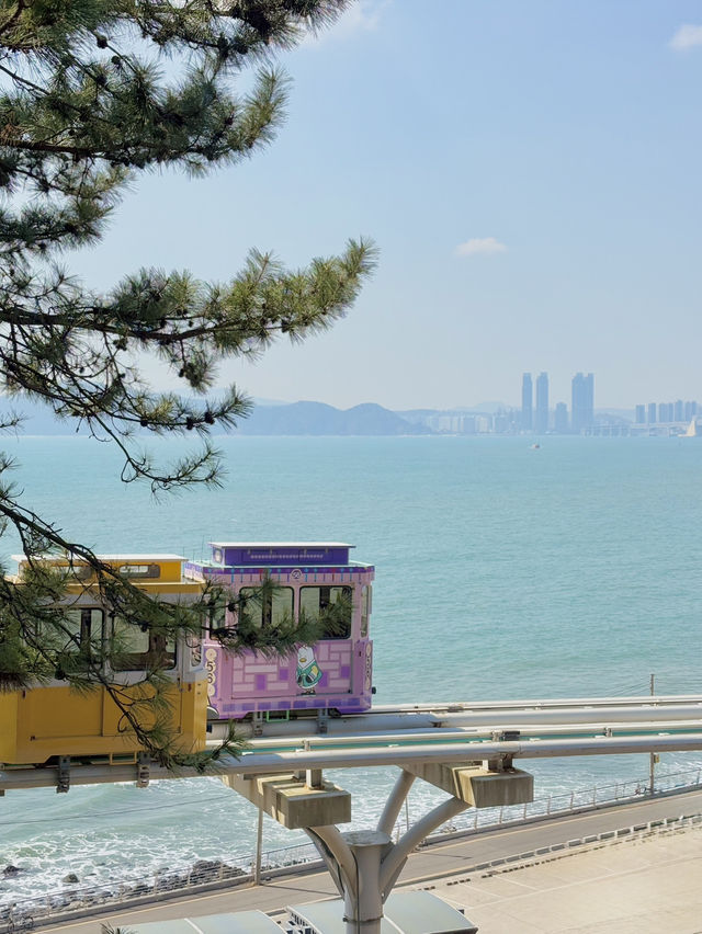부산에서 꼭 해야할 액티비티 블루라인파크 스카이캡슐 열차🚃