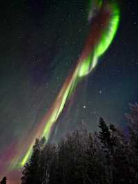 The Ultimate Arctic Wonderland
