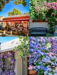 A Romantic Early Summer City Walk in Beijing's Hutongs: Cherry Blossoms and Hidden Gems" 🌸🚶‍♀️