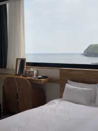 돌고래를 볼 수 있는 오션뷰 호텔 🩵