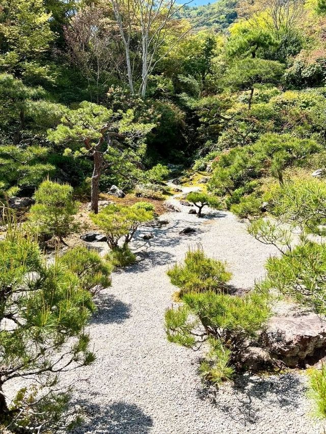 A Hidden Gem in Arashiyama