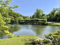 A Perfect Peaceful Escape