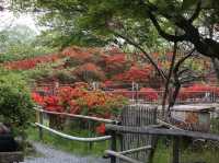 Shrine with Major Flower Power