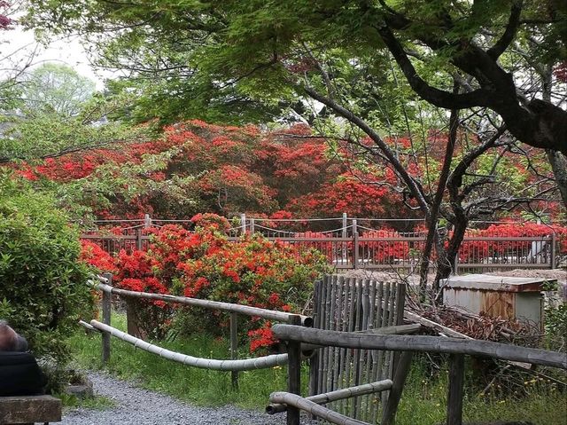 Shrine with Major Flower Power