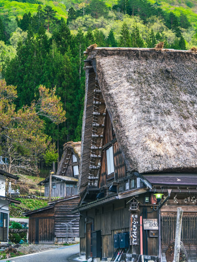 Is Shirakawa-go’s spring scenery inferior to its winter charm? ❄️🌸
