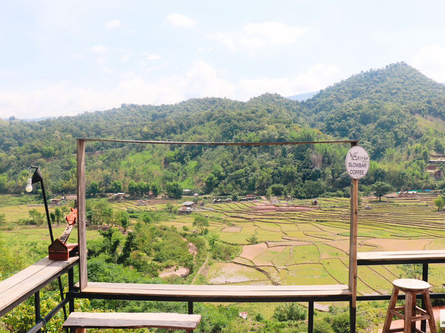 เว-นิส บ้านเวร