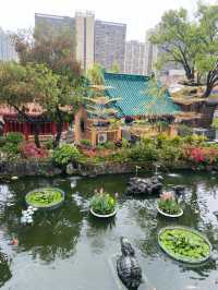 香港｜拜完了黃大仙不妨走走從心苑🎋