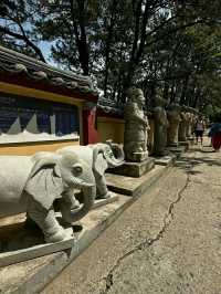 Busan: Ocean Breeze, Mountain Calm, and a Dash of City Pulse
