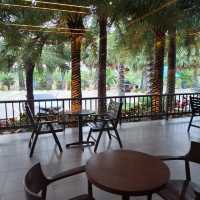 คาเฟ่อะเมซอน ที่สวยและบรรยากาศดีมาก