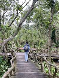 Discovering Hainan’s Ancient Volcanoes at Leiqiong Geopark 🌋