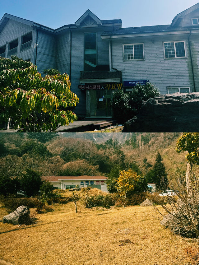 울릉도에서 독도까지, 비록 땅은 못 밟았지만