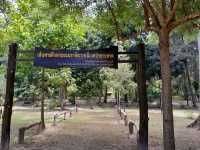 สวนพฤกษศาสตร์บ้านเพ