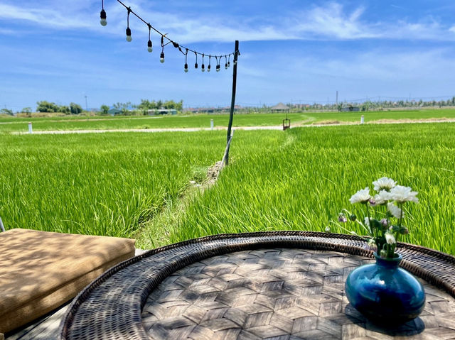 🇻🇳 호이안 대표적 논 뷰 카페