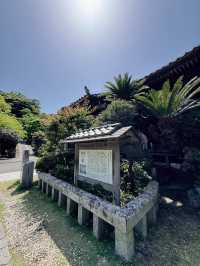 【伊豆・下田】御朱印巡り❁⃘*.ﾟジャスミン寺