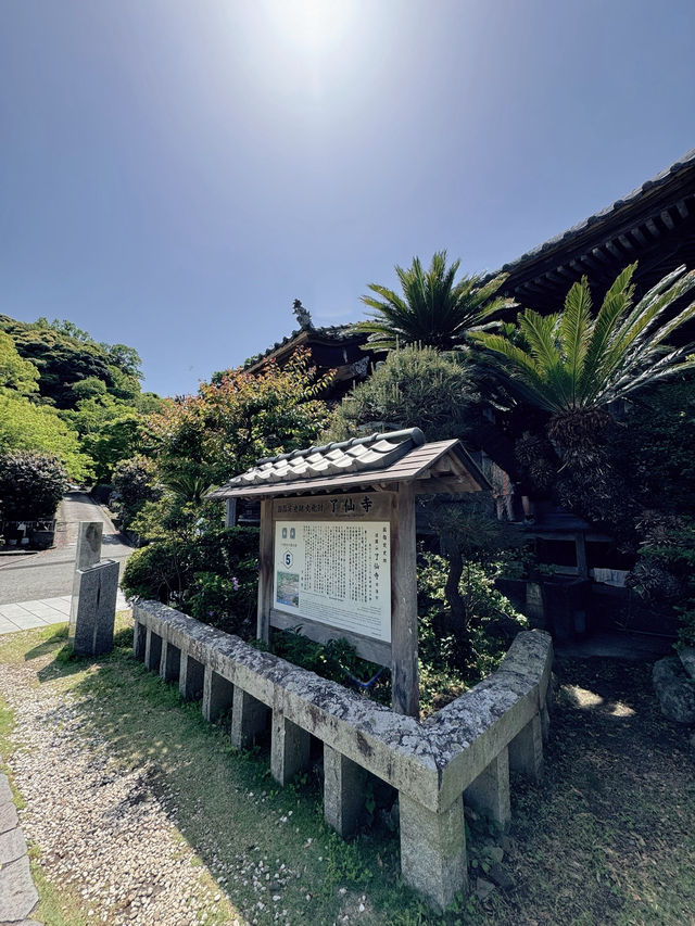 【伊豆・下田】御朱印巡り❁⃘*.ﾟジャスミン寺