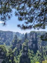 Zhangjiejie’s Avatar Peak: Where Dreams Touch the Sky!