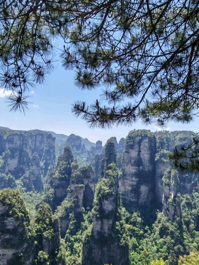Zhangjiejie’s Avatar Peak: Where Dreams Touch the Sky!