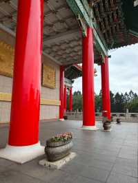 Tranquil Vibes at the National Concert Hall Garden
