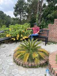 Nagarkot City Center 