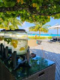 🌴 Angsana Velavaru Maldives: A Vibrant Escape into Barefoot Luxury