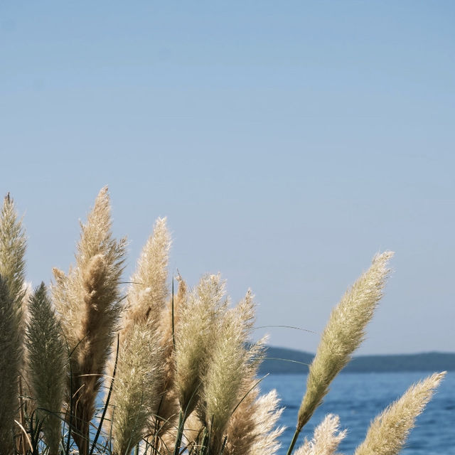 扎達爾（Zadar）旅行分享📸