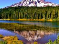 Exploring the Enchanted Forest: Hiking the Hoh Rain Forest Trail