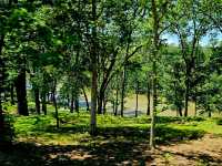 Skyline Adventures: Hiking Through Shenandoah’s Blue Ridge Beauty