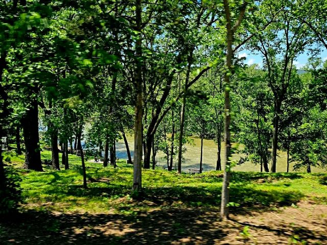 Skyline Adventures: Hiking Through Shenandoah’s Blue Ridge Beauty
