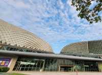A Field day at Esplanade gardens