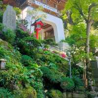 Spiritual Serenity at Enoshima Shrine