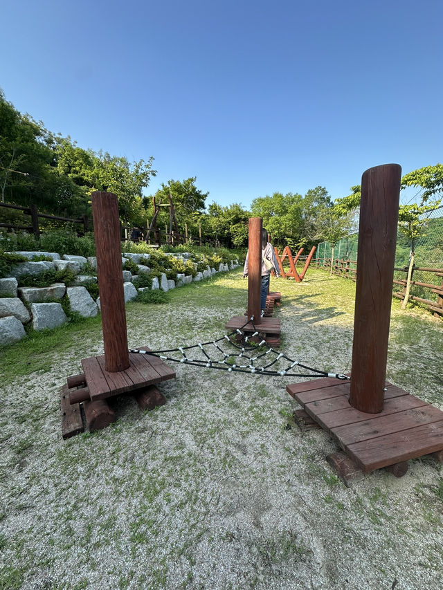🌳 통영생태숲에서 자연과 한몸이 된 하루! 🍃