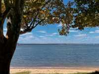 🌿 Matilda Bay Reserve: Perth’s Riverside Gem