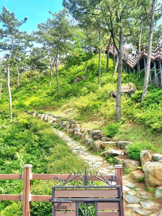 이건 꼭 알고 가세요! 각산 등산 팁✨️