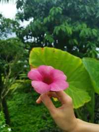 Discover 1 Utama’s Secret Garden in the Sky