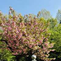Stepping into the Serenity of Seoul Children's Grand Park 