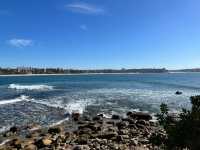 Manly to Shelly Beach – A Coastal Walk Worth Slowing Down For