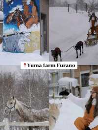 แจกแพลนเที่ยว 20 ที่ ใน Hokkaido