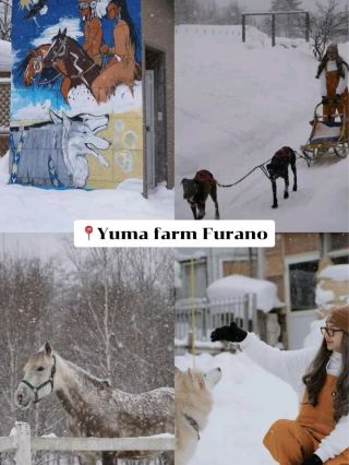 แจกแพลนเที่ยว 20 ที่ ใน Hokkaido