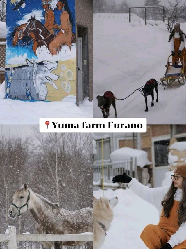 แจกแพลนเที่ยว 20 ที่ ใน Hokkaido
