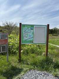 【利尻島】利尻島最大の高層湿原で季節の花と絶景を満喫！南浜湿原