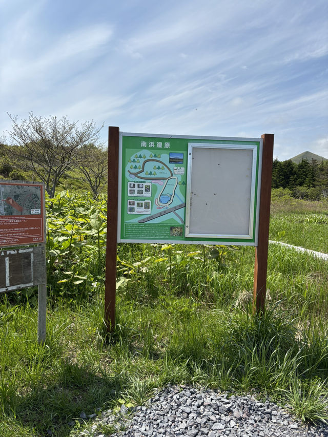 【利尻島】利尻島最大の高層湿原で季節の花と絶景を満喫！南浜湿原