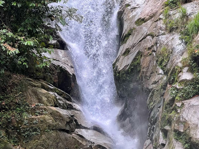 🌿 The Trong Falls — A Hidden Gem Waterfall 🌿