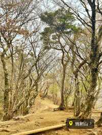 【保存版】関東日帰り登山⛰️おすすめ6選