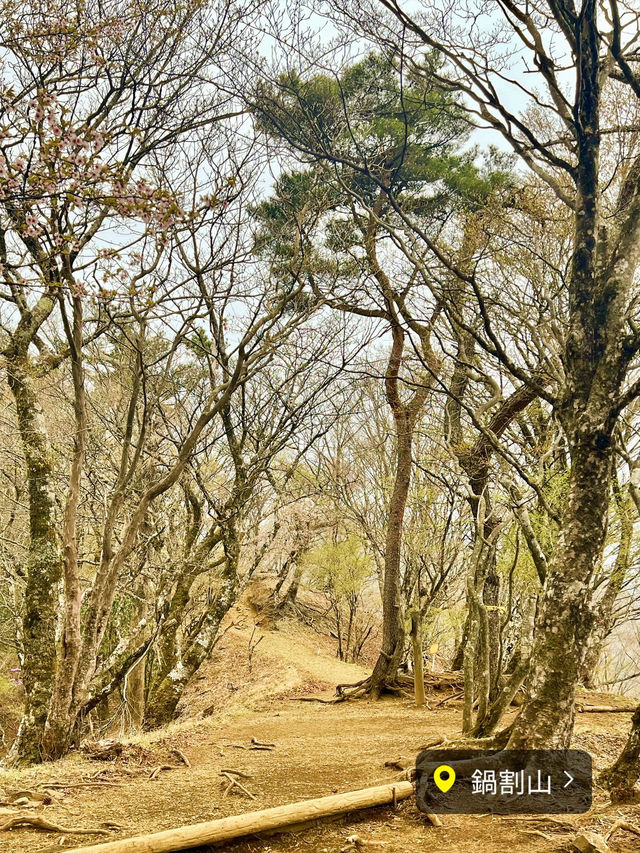 【保存版】関東日帰り登山⛰️おすすめ6選