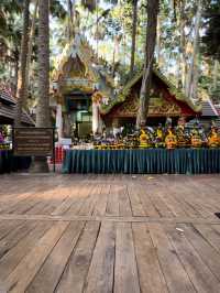 เติมบุญ-เติมพลังที่ 'ป่าคำชะโนด'