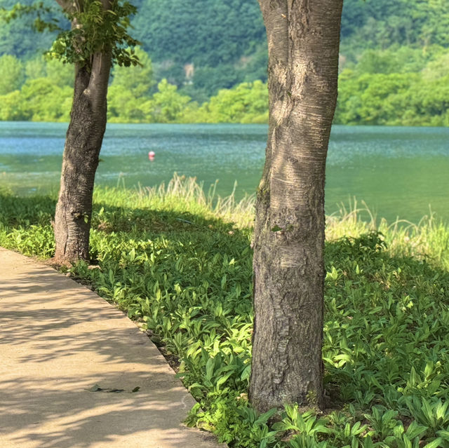 가평크루즈 섬섬투어 자라섬 꽃 페스타