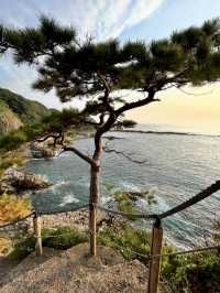 A Day of Nature & History in Fukui