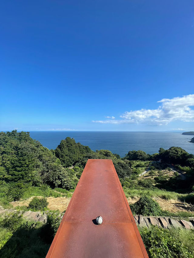自然とアートが融合した美しすぎる美術館🌿🤍